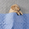 image:imageCozy Bliss Deluxe Leakproof Cooling Blanket for Small Dogs QMax 05 Soft amp Durable Washable Pet Cooling Mat for Hot Weather Livingroom Pet Throw amp Couch Protector for Cats Charcoal Grey 25x35Heather Haze Blue