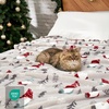 image:imageCozy Bliss Gnome Throw Blanket Christmas Blanket Warm Plush Throw BlanketUltra Soft Cozy Blanket for CouchSofa and BedXmas Gnome in Truck50x60Classic Gnome