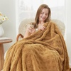 image:imageCozy Bliss Ultrasoft Waffle Throw Blanket Fluffy Cute Plush Blanket for Couch Bed Modern Home Accent Portable for Picnic or Outdoor Grey 50x60Brown