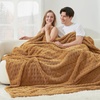 image:imageCozy Bliss Ultrasoft Waffle Throw Blanket Fluffy Cute Plush Blanket for Couch Bed Modern Home Accent Portable for Picnic or Outdoor Grey 50x60Brown