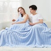 image:imageCozy Bliss Ultrasoft Waffle Throw Blanket Fluffy Cute Plush Blanket for Couch Bed Modern Home Accent Portable for Picnic or Outdoor Grey 50x60Light Blue
