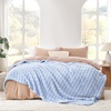 image:imageCozy Bliss Ultrasoft Waffle Throw Blanket Fluffy Cute Plush Blanket for Couch Bed Modern Home Accent Portable for Picnic or Outdoor Grey 50x60Light Blue
