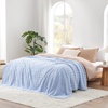 image:imageCozy Bliss Ultrasoft Waffle Throw Blanket Fluffy Cute Plush Blanket for Couch Bed Modern Home Accent Portable for Picnic or Outdoor Grey 50x60Light Blue