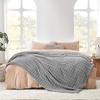 image:imageCozy Bliss Ultrasoft Waffle Throw Blanket Fluffy Cute Plush Blanket for Couch Bed Modern Home Accent Portable for Picnic or Outdoor Grey 50x60Light Grey