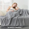 image:imageCozy Bliss Ultrasoft Waffle Throw Blanket Fluffy Cute Plush Blanket for Couch Bed Modern Home Accent Portable for Picnic or Outdoor Grey 50x60Light Grey
